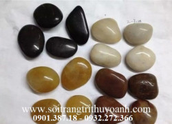 Sỏi bóng thị trường Việt Nam