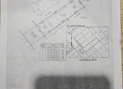 Chính Chủ Bán HXH Trường Sa, P.14, Q.3: (5 x 20m), Giá Tốt Chỉ 25 Tỷ!