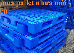 Pallet Nhựa 1200x1000x150mm – Giá Tốt Tại Đà Nẵng – 0799 345 292