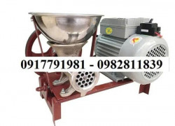 Cối xay thịt Việt Nam mini - inox