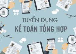 Tuyển kế toán tổng hợp có kinh nghiệm làm tại Cty Thực Phẩm Ào Ào