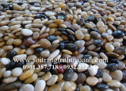 Sỏi bóng nhiều màu trang trí sân vườn