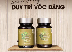 CHẤT XƠ - CHÌA KHÓA THẦM LẶNG CHO MỘT CƠ THỂ KHỎE MẠNH - G.ORGANIC