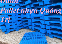 Pallet nhựa PL04-LS KV Quảng Trị – Hàng chuẩn DN xuất khẩu 0799345292