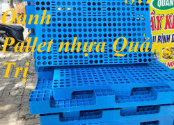 Bán pallet nhựa PL04-LS KV Quảng Nam – Chuẩn xuất nhập khẩu 0799345292