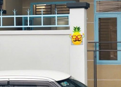 NHÀ TRỆT LỬNG 50M2. HẺM XE HƠI MỘT TRỤC THẲNG. GẦN NGÃ TƯ BÙI CÔNG TRỪNG GIAO ĐẶNG THÚC VỊNH. ĐÔNG THẠNH, HÓC MÔN