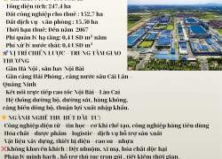 ✨ BÁN ĐẤT KCN BÁ THIỆN – VĨNH PHÚC – PHÂN KHU I ✨