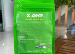 X-ONE – DINH DƯỠNG DẪN DỤ THẾ HỆ MỚI 🌟