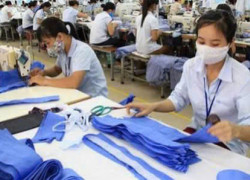 Tuyển gấp 7 công nhân may đồ thun làm tại Đà Nẵng