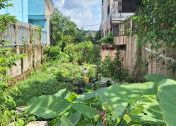 Lô đất đẹp MT Tân Hiệp 8.1 , Hóc Môn , DT165m2 . Giá chỉ 4.7 tỷ (TL)