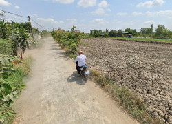 Bán đất vườn đường T11, Tân Quý Tây, Bình Chánh