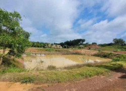 BÁN ĐẤT CÓ AO CÁ – 9055m² – MẶT TIỀN 18m – SUỐI CAM, ĐỒNG XOÀI – ĐỒNG NAI-  GIÁ 20 TỶ