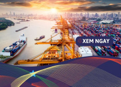 🎓 Ngành Kinh tế công nghiệp – Ra trường làm gì? 💼