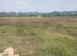 CHÍNH CHỦ BÁN ĐẤT CLN TẠI XÃ ĐẠ KHO, HUYỆN  ĐẠ TẺH, LÂM ĐỒNG