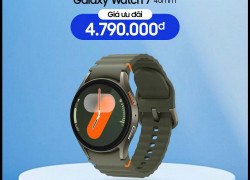 Watch 7 40mm trợ lý đo sức khỏe giá đang giảm chỉ còn 4.xxx.000