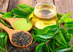 🍃 TIỆM TRÀ ONLINE – MỘT CHÚT AN YÊN GIỮA BỘN BỀ CUỘC SỐNG 🍃