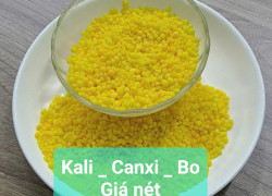 Phân bón hữu cơ nhập khẩu : úc , bỉ , nhật , thái . OM 70 -90 , NPK 322 , Phủ Humic