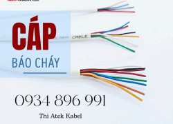 Dây Báo Cháy Altek Kabel 0.22mm² – Giá Tốt – Giao Hàng Toàn Quốc
