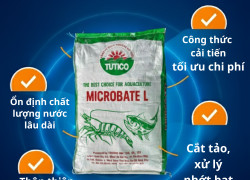 MICROBATE L – ENZYME XỬ LÝ NƯỚC AO NUÔI HIỆU QUẢ