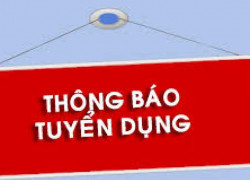 TUYỂN DỤNG CÁN BỘ NGÀNH XÂY DỰNG