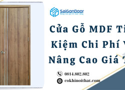 Cửa Gỗ MDF Tiết Kiệm Chi Phí Và Nâng Cao Giá Trị