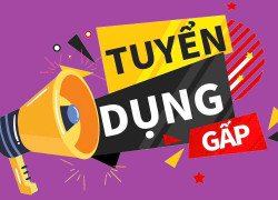 Cần tuyển phiên dịch tiếng Trung - Anh, quản lý Spa & NVKD BĐS