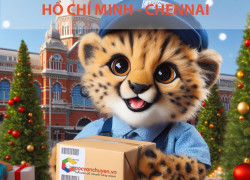 Giá cước vận chuyển hàng hóa từ Việt Nam đến Chennai