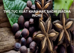 Thủ tục xuất khẩu hạt sachi (sacha inchi)