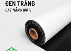 MÀNG NHÀ KÍNH POLITIV ISRAEL 200MIC – LOẠI ĐEN TRẮNG – CẮT NẮNG 100%