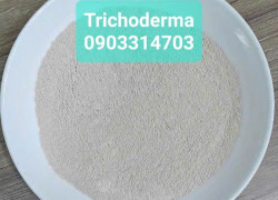 Trichoderma -siêu nấm phân hủy - Gói 1 kg -Hàng sẵn kho
