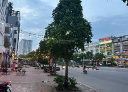 Nhà Hồng Tiến 117m mặt tiền 6.6m Kinh doanh dòng tiền 25 tỷ