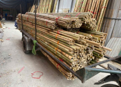 đạo cụ múa sạp cho thuê , bán tre nhảy sạp
