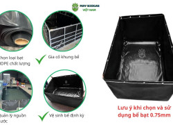 Bể Bạt HDPE 0.75mm Nuôi Cá, Tôm, Ốc, Ếch