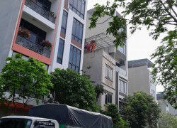 7 tầng thang máy tại DV Mậu Lương Hà Đông 14 tỷ.