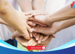 Khám phá chương trình đào tạo ngành công tác xã hội