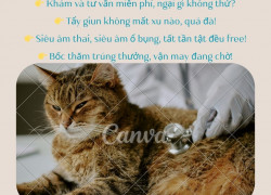 PHÒNG KHÁM THÚ Y DR. HƯNG TƯNG BỪNG KHAI TRƯƠNG