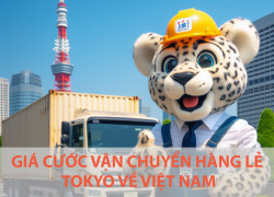 Giá cước vận chuyển hàng lẻ từ Tokyo về Việt Nam