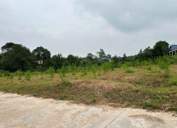 💰SIÊU HỜI💰  lô đất rộng 587m2 có 80m2 thổ cư