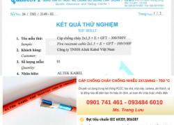 Cáp Chống Cháy Chống Nhiễu 2x1.5mm2 – 750°C Altek Kabel