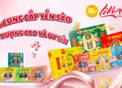 Giới thiệu Công ty TNHH LIKE NEST