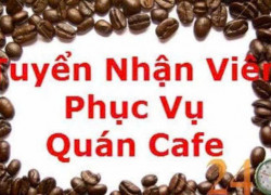 Tuyển nhân viên phục vụ quán cà phê làm tại Quận 10