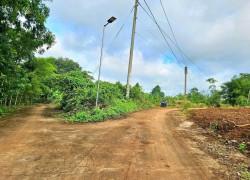 SIÊU RẺ – BÁN LÔ ĐẤT SÀO GIÁ CHỈ 290 TRIỆU- HỚN QUẢN - BÌNH PHƯỚC