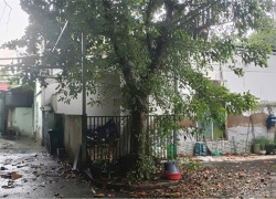 Bán nhà vườn 701m2 vuông vức siêu đẹp ở KDC Hiệp Bình Chánh Thủ Đức