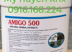 AMIGO 500 - Thảo dược trị kí sinh trùng ao nuôi hiệu quả