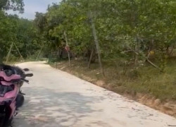 Chính chủ cần bán đất giá rẻ – Chỉ 650 triệu/sào-  Lộc Ninh - Bình Phước