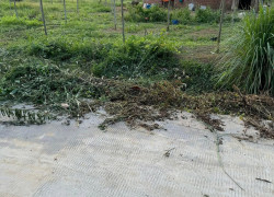 CHÍNH CHỦ CẦN BÁN ĐẤT ĐẸP - ẤP 5, LỘC ĐIỀN, LỘC NINH, BÌNH PHƯỚC