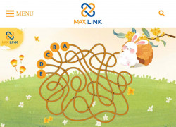MAX LINK COMPUTER Tuyển NVKD có kinh nghiệm đi làm ngay