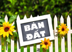 Chính chủ cần bán lô đất đẹp 433m2 tại xã Tam Anh (TP. Đà Nẵng)