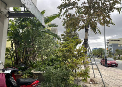 BẤT ĐỘNG SẢN QUẢNG NAM