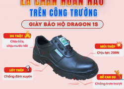 Giày bảo hộ cao cổ Dragon 3NR